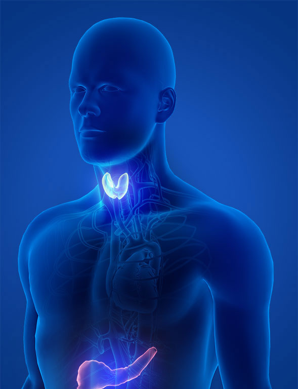 Endocrine Conditions